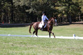 Pia Zuffoletti on Rio, Beginner Novice Horse Trials Junior A