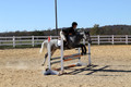 Josie Howard on Shenandoah Sea Lily, Beginner Novice Horse Trials Senior B