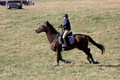 Abby McGowan on Civil Bond, Beginner Novice Horse Trials Junior B