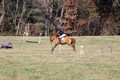 Theresa Thompson on Rated PG, Novice Horse Trials Senior