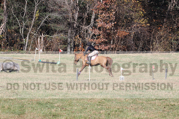 Theresa Thompson on Rated PG, Novice Horse Trials Senior