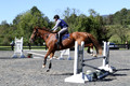 Amy Parsons on Wren Wrouge, Beginner Novice Senior HT B