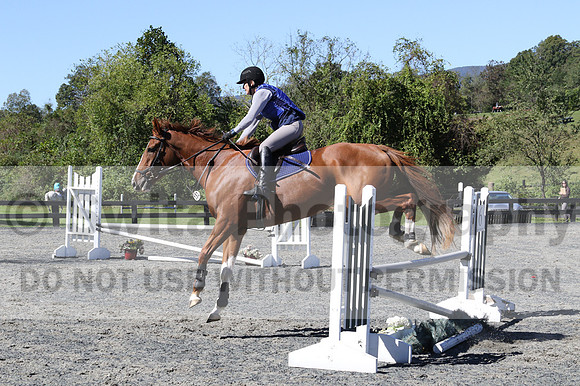 Amy Parsons on Wren Wrouge, Beginner Novice Senior HT B