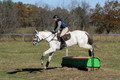 Jennifer Cobb on Snowbird, Beginner Novice Horse Trials Senior A