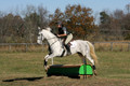 Tori Nuckols on Grey Dragon, Beginner Novice Horse Trials Senior A