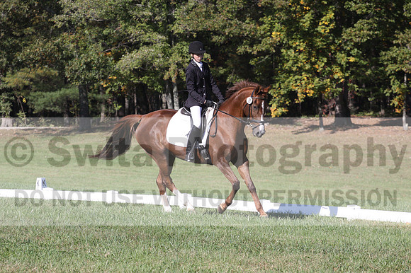 Maggie Proffitt on Wallstreet Melody, Novice Horse Trials Junior