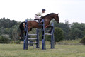 Lindsey Lanier on Fernhill Hustler, OI