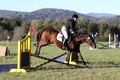 Kathleen Pimblett on Royal Grace, Green Horse Trials