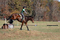 Wendy Zolinski on Civil Assets, Training Horse Trials