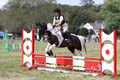 Allyssa Schnitzer on Call Me Cricket, JBN