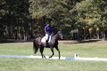 Judy Lancaster on Ride Sallie Ride, Beginner Novice Horse Trials Senior B