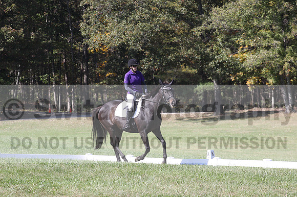 Judy Lancaster on Ride Sallie Ride, Beginner Novice Horse Trials Senior B