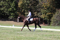 Pia Zuffoletti on Rio, Beginner Novice Horse Trials Junior A