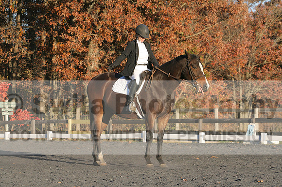 Thea Miller on Something Glamorous, Dressage Only: Training Level, Test 3