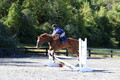 Amy Parsons on Wren Wrouge, Beginner Novice Senior HT B