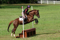 Schild.Rose.Dutchess.START-HT-B.199