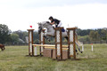 Abigail Winfree on Armani IV, JOT