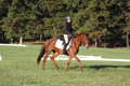 Jenny Rosner on Abbey Moon, Training Horse Trials