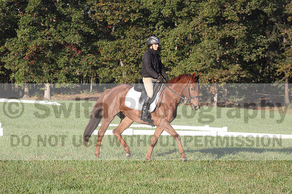 Jenny Rosner on Abbey Moon, Training Horse Trials