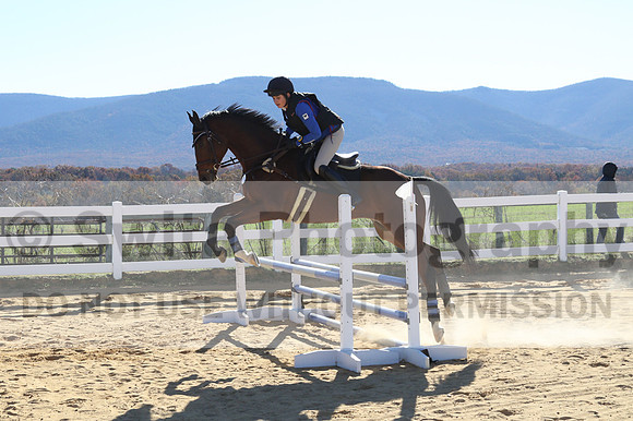 Francesca Toms on Top Secret, Novice Horse Trials Junior