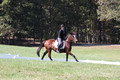 Elaine Groves on Luidonna, Beginner Novice Horse Trials Senior B