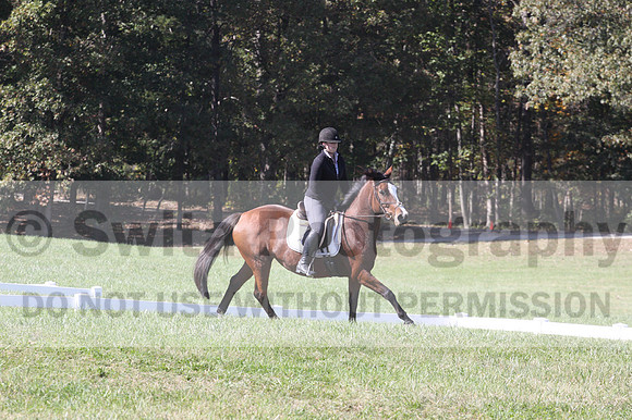 Elaine Groves on Luidonna, Beginner Novice Horse Trials Senior B