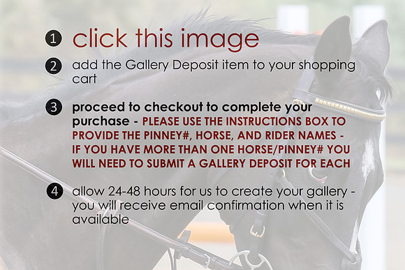 0*0*0* Gallery Deposit *0*0*0