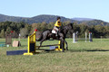 Madlen Lesesne on SBF Figaro, Advanced Green Horse Trials B