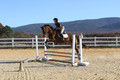Abby Loving on Royal Filigree, Advanced Green Horse Trials Senior A