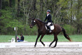 DR5K2209