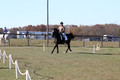 Amy Kryder on Rhianna, Beginner Novice Horse Trials Senior C