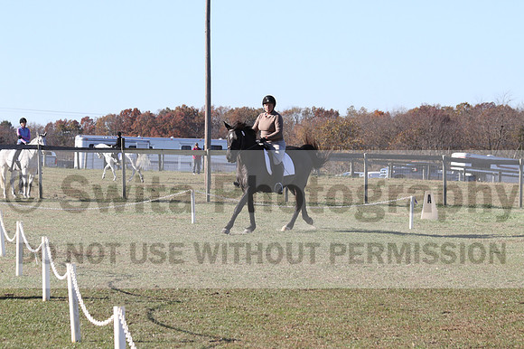 Amy Kryder on Rhianna, Beginner Novice Horse Trials Senior C