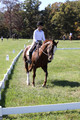 Pia Zuffoletti on Rio, Beginner Novice Horse Trials Junior A