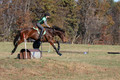Wendy Zolinski on Civil Assets, Training Horse Trials
