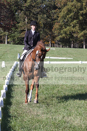 Maggie Proffitt on Wallstreet Melody, Novice Horse Trials Junior
