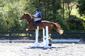 Amy Parsons on Wren Wrouge, Beginner Novice Senior HT B