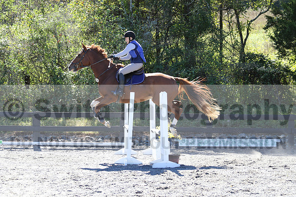 Amy Parsons on Wren Wrouge, Beginner Novice Senior HT B
