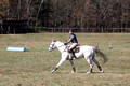 Jennifer Cobb on Snowbird, Beginner Novice Horse Trials Senior A