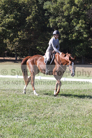 Haley Morrissey on Picturesque Serenade, Advanced Green Horse Trials A