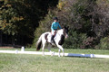Kaitlyn Schmidt on Dandy, Advanced Green Horse Trials A