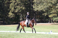 Brooke Bayley on Unbroken, Beginner Novice Horse Trials Senior A