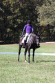 Judy Lancaster on Ride Sallie Ride, Beginner Novice Horse Trials Senior B
