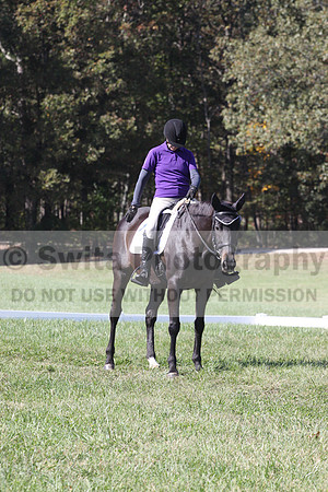 Judy Lancaster on Ride Sallie Ride, Beginner Novice Horse Trials Senior B