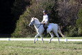 Jeanne Jeffer on Snowball's Chance, Green Horse Trials