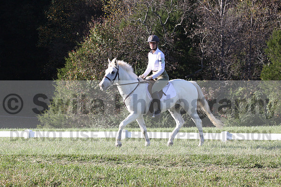 Jeanne Jeffer on Snowball's Chance, Green Horse Trials
