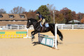 Leah Childers on Priscilla, Beginner Novice Horse Trials Junior B