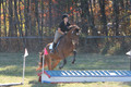 Abby Loving on Royal Filigree, Advanced Green Horse Trials Senior A