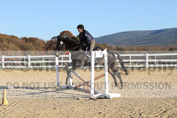 Trina Gomez on Anubis, Green Horse Trials Senior