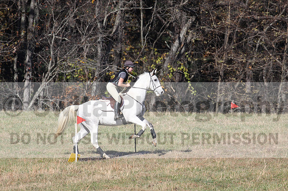 Tori Nuckols on Grey Dragon, Beginner Novice Horse Trials Senior A