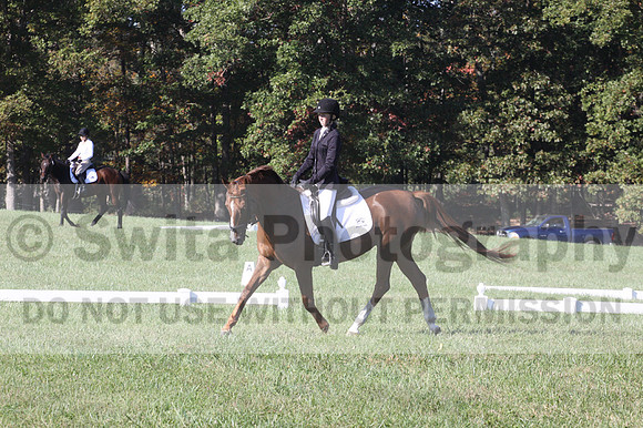 Maggie Proffitt on Wallstreet Melody, Novice Horse Trials Junior